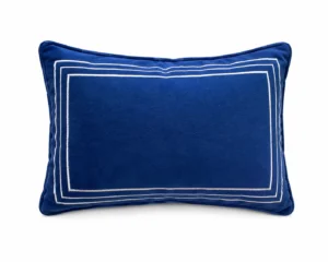 Blue Frame Back Pillow
