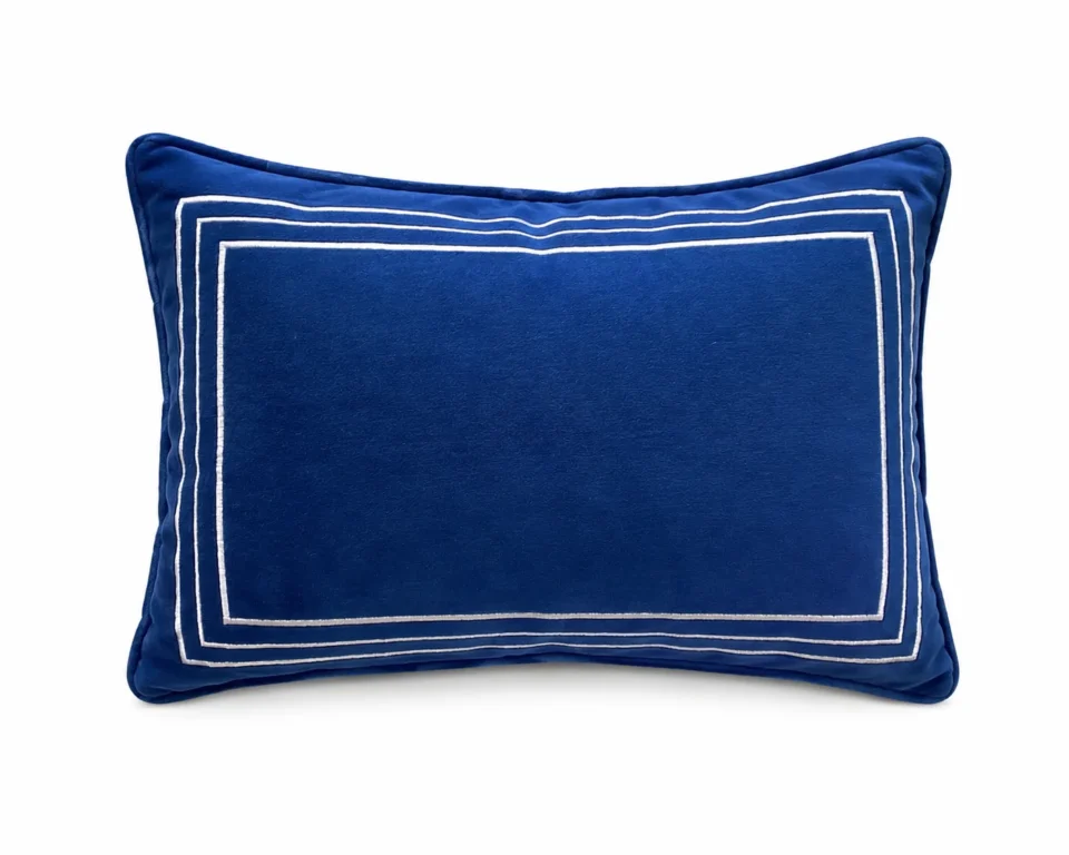Blue Frame Back Pillow