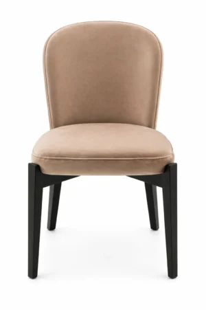 Elicia Terra Velvet Chair Dining Chair (2)