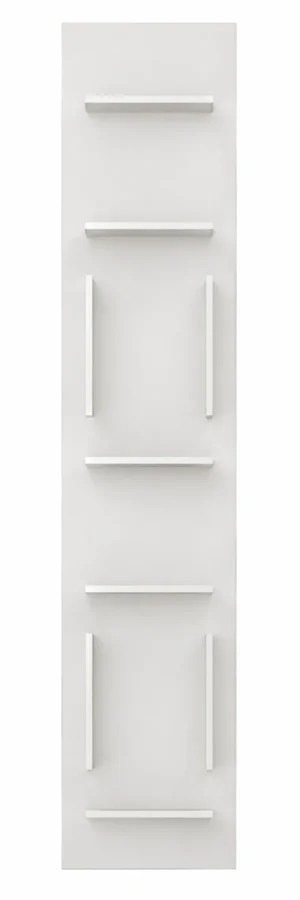 Fifty Bookcase