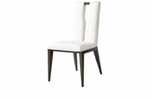 Gateaway DIning Chair (1)