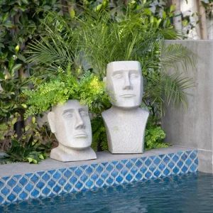 Head-planters-III.webp