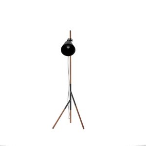 Inser-Lamp-front.jpg