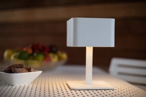 La-Lampe_Pose-02-2.jpg