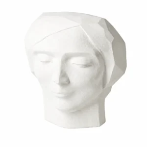 Plaster Bust - Male