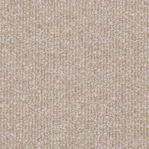 TM0010_9_1_1.webp
