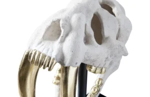 Saber Tooth Tiger White IV