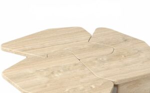 Generated Image November 30, 2025 - 1_25PM