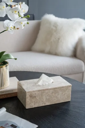 Rectangular Cream Marble Tissue Box (1)