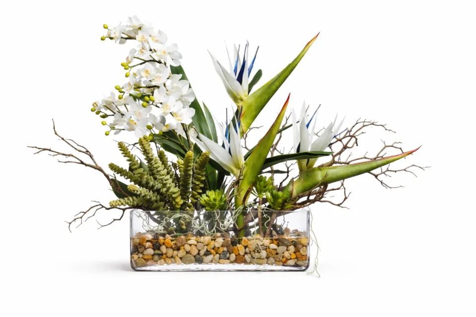 White Mini PhalTropical Waterlike