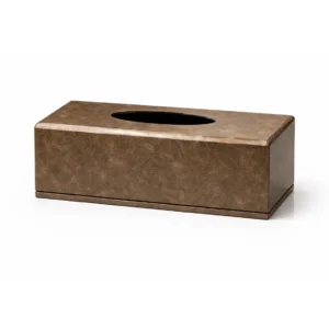 Antique Bronze Tissue Box (2)