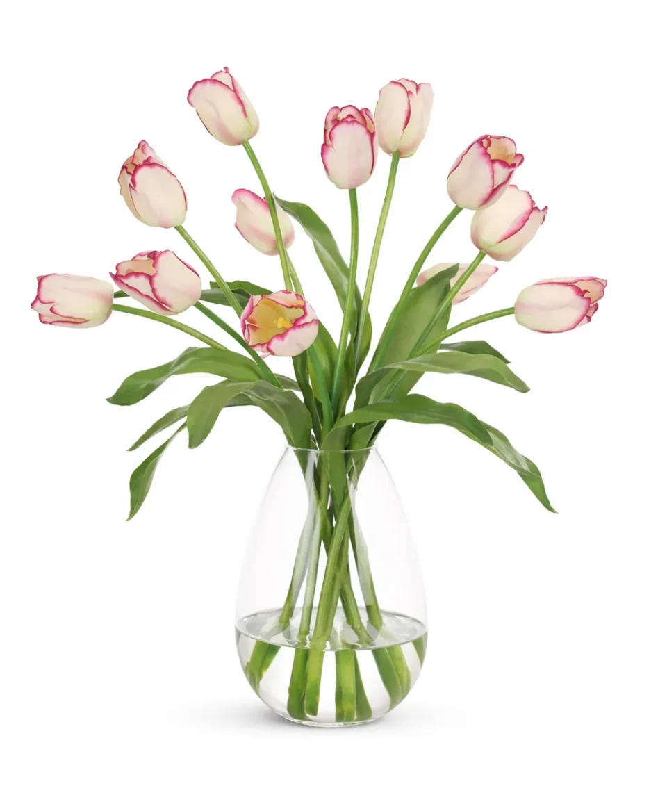 Pink Tulip in a Glass Vase