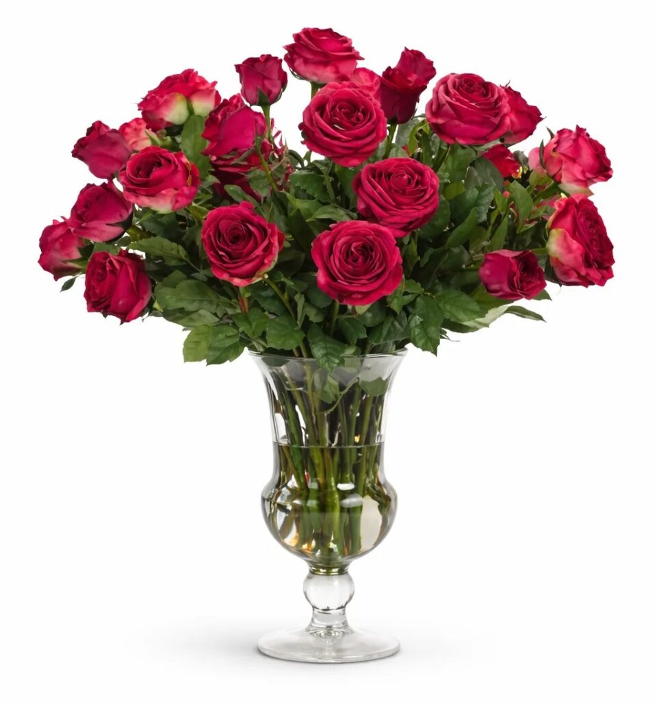 Roses in a glass urn