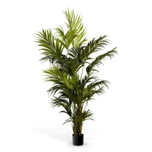 Artificial Plant Kentia Palm (3)