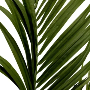 Artificial Plant Kentia Palm (2)