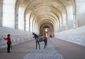 RI1187_1_Horses
