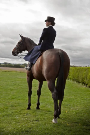 RI1187_2_Horses