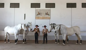 RI1187_3_Horses