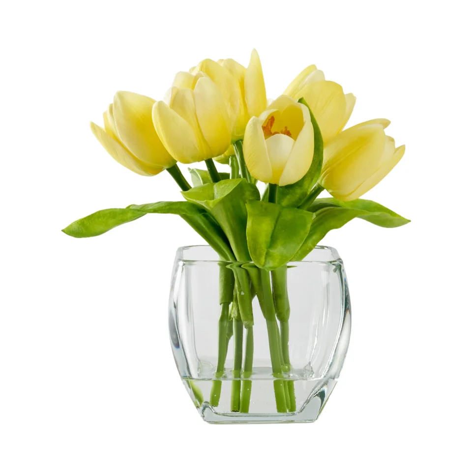 Yellow Tulips in Glass Cube