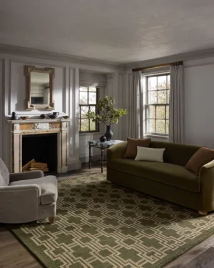 The Barrow Collection Area Rug (4)