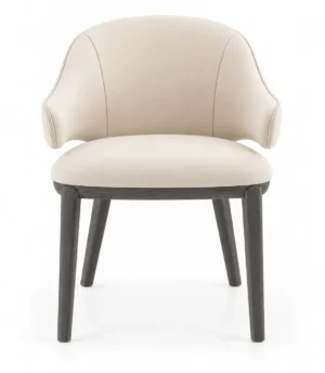 Erika Dining Chair (2)